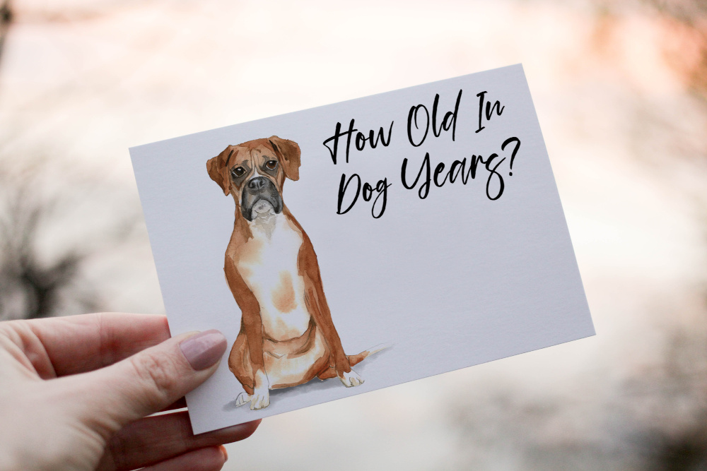 Boxer Dog Birthday Card, Dog Birthday Card